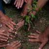 Ministra de Ambiente alerta de posible aumento de deforestación en Caquetá 