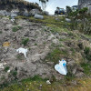 Las basuras de los turistas son uno de los aspectos que preocupan a Cortolima.