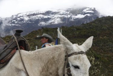 Campesinos salen con sus pertenencias y ganado del volcán Nevado del Ruiz, en Murillo (Tolima)