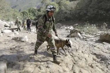 Un integrante del Ejército de Colombia busca sobrevivientes con un perro de rescate, en el sitio de una avalancha en Quetame (Cundinamarca).