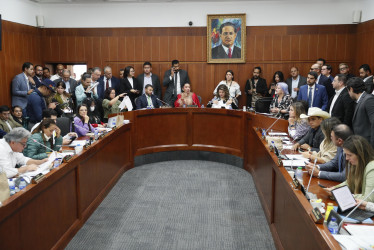La presidenta de la Comisión Séptima del Senado, Martha Isabel Peralta Epieyu (c) habla este miércoles durante un debate en la sala de la Comisión en Bogotá.