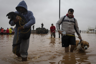 Dos hombres junto a sus mascotas caminan entre el agua tras ser rescatados por el ejército brasileño en el lago Guaíba