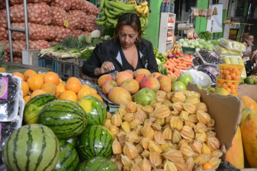 Arriendo, frutas frescas y comidas fuera del hogar, los sectores que mayor pesaron o impactaron la inflación en Manizales.