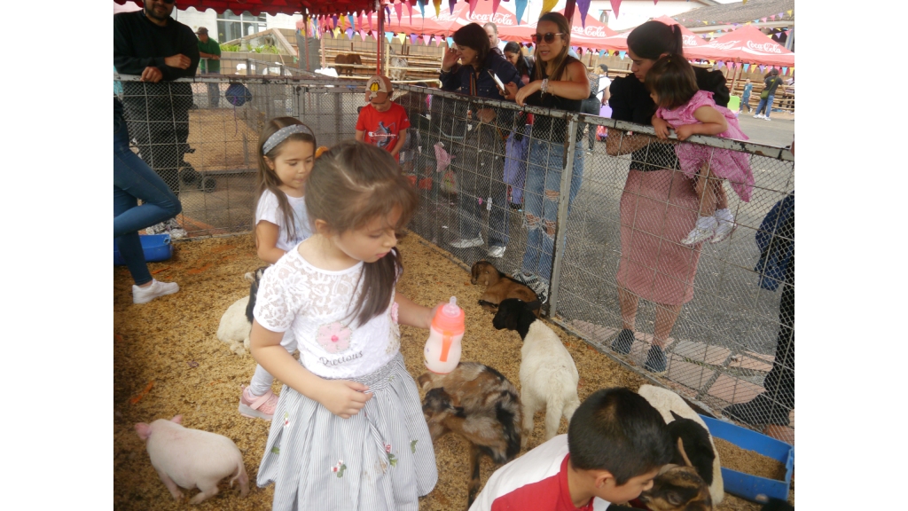 Las familias asisten a los espectáculos de magia y de exposición de animales domésticos llevadas a cabo en el Ecoparque Los Yarumos, toda esta semana, con entrada gratis.