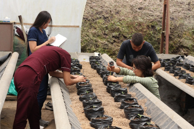 Los estudiantes realizan sus estudios de plantas a través de la hidroponía.