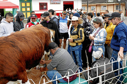Fotos | Luis Fernando Rodríguez | LA PATRI A  Los visitantes tuvieron la posibilidad de probar la leche de las vacas en Parque de Bolívar.