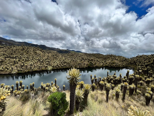 Valle de frailejones y la Laguna Corazón ubicada dentro del Parque a 4.000 m s.n.m. También se puede visitar la Laguna Negra.