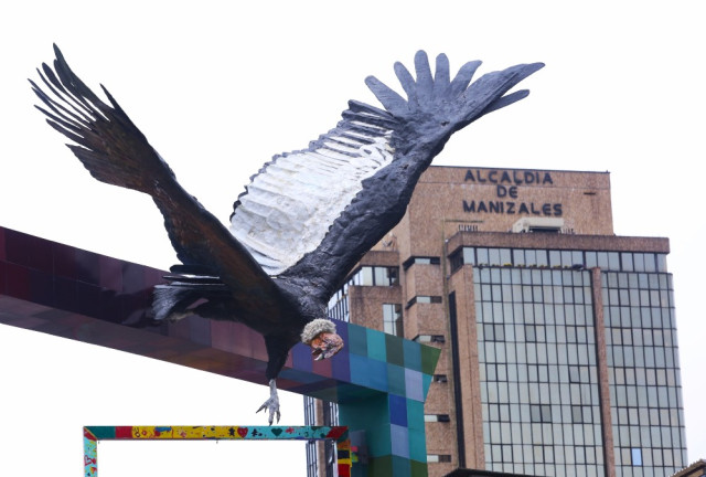 Cóndor Andino (Vultur Gryphus) ubicado en la Plaza Alfonso López, obra de Luis Guillermo Vallejo.
