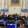 Foto / Cortesía del Congreso de la República / LA PATRIA  Sesión en el Senado. 
