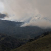Incendio de cobertura vegetal en el PNN Los Nevados