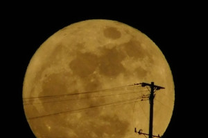 Gerardo Quintero S. fotografió la Superluna azul del pasado jueves desde su casa en el barrio Laureles de Manizales.