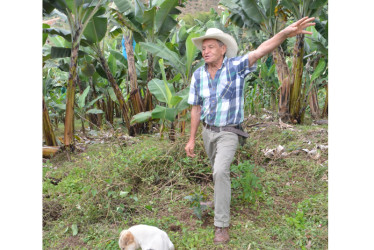 Varios cafeteros cuestionaron la opción de sembrar otras especies de café en Colombia, después de consolidar una calidad por la que el país es reconocido en el mundo.