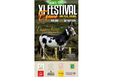 Cancelan Festival Equino en San Félix por problemas en las vías