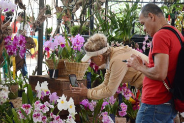 La Exposición Nacional de Orquídeas se realizó del 10 a 12 de marzo. 
