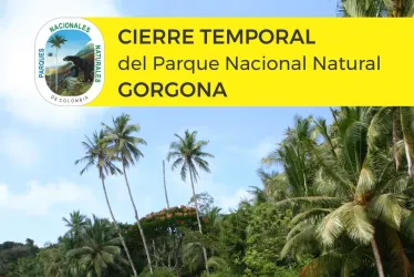 El anuncio de Parques Nacionales Naturales sobre el cierre temporal de Gorgona. 