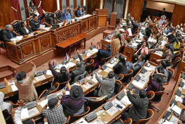 Foto | Archivo Cámara de Diputados de Bolivia | LA PATRIA ​​​​​​​De acuerdo con el Gobierno, la Ley permitirá avanzar con la reconstrucción de la economía boliviana.