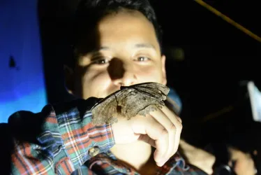 Cristian Valencia, de 25 años, aprovechó la actividad Polillas en la ciudad, organizada por Lepidoptera Colombiana en el Monumento a los Colonizadores, para conocer más sobre las mariposas nocturnas y dejar los mitos sobre su presencia. 