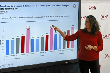 La directora del DANE, Piedad Urdinola, destacó que la inseguridad alimentaria grave o moderada debería "motivar la reflexión en el país".