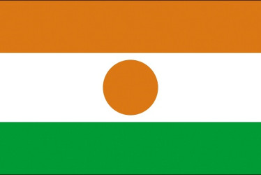 Bandera de Níger, país ubicado en el África occidental.