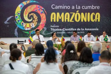 Ministros de ocho países dan los primeros pasos para lograr "gran acuerdo" de la Amazonía