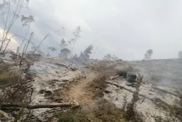  Así quedaron los terrenos de la finca Termopilas, en Aranzazu, tras el incendio forestal. 