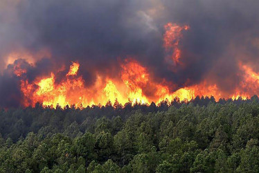 Fotografía de archivo de un incendio en la selva del Amazonas en Colombia.