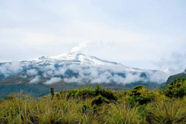 La recomendación del SGC frente al incremento de la actividad sísmica del volcán Nevado del Ruiz es conservar la calma e informarse a través de la información publicada por la entidad.