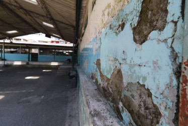 El propósito es construir un colegio nuevo que reemplace el mal estado del Siete de Agosto, del barrio El Carmen de Manizales. La espera continúa tras años de promesas incumplidas. 