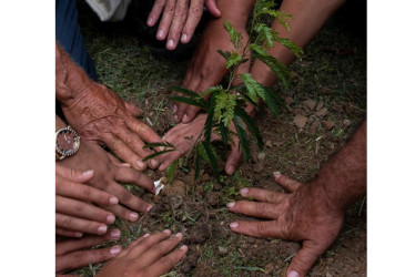 Ministra de Ambiente alerta de posible aumento de deforestación en Caquetá 