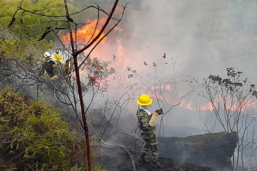 El Ejército Nacional trabajó para apagar un incendio el pasado domingo en Bucaramanga. Cerca de esta ciudad, en el páramo de Berlín, el fuego ha arrasado al menos 300 hectáreas de vegetación.