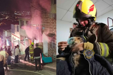 El incendio fue en el barrio Villahermosa. Se logró el rescate de cuatro mascotas.