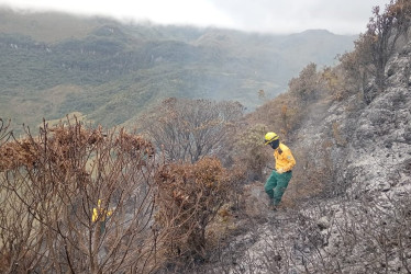 Así quedó el sector de El Sifón en el Parque Nacional Natural Los Nevados luego del incendio de capa vegetal.