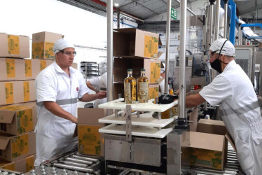 Proceso de fabricación del aguardiente Amarillo de Manzanares, que está en el centro de las disputas de la Industria Licorera de Caldas con la Fábrica de Licores de Antioquia y Cundinamarca.