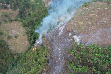  Incendio forestal en la finca finca Providencia del corregimiento de Pácora. 