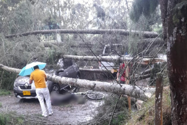 La caída de árboles ocurrió en el tramo vial entre la Iglesia y Termales El Otoño, en Gallinazo (Villamaría).
