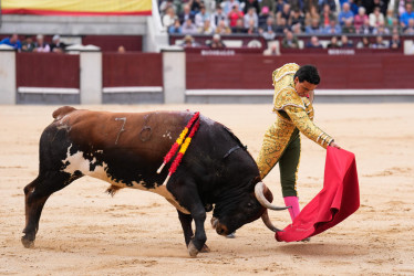 El diestro Juan de Castilla, con su primer toro en la séptima corrida de la Feria de San Isidro en la Plaza de Toros de Las Ventas (España).