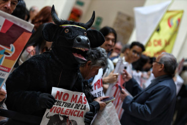 A las afueras del recinto de la Cámara de Representantes celebraron la decisión de prohibir las corridas de toros en Colombia. 